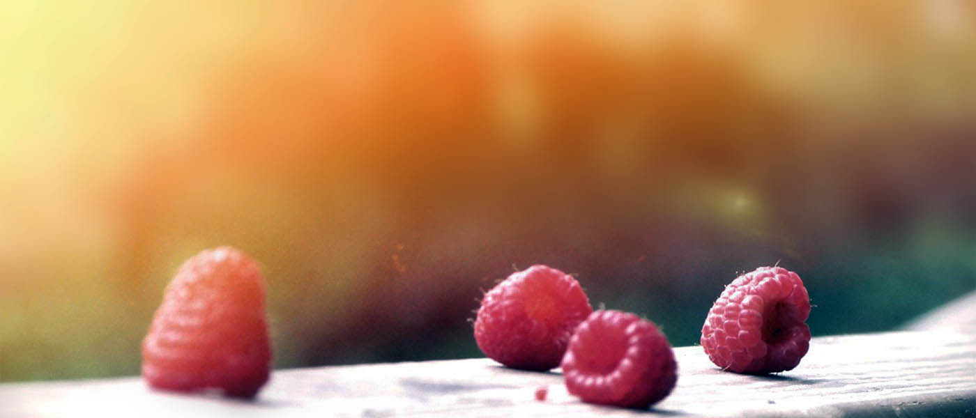 树洞的精神角落